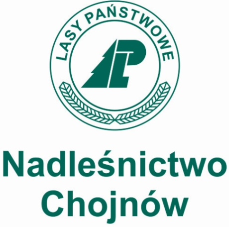 Działania Nadleśnictwa Chojnów wzdłuż rzeki Małej