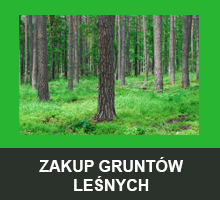 Ogłoszenie o zakupie lasów i gruntów przeznaczonych do zalesienia