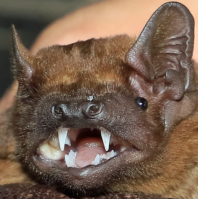 Zdjęcie: Sławomir Fiedukowicz